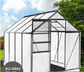 Brast Aluminium-Gewächshaus 250 x 190 x 195 cm anthrazit