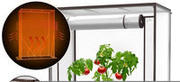 Kesser Premium Tomatengewächshaus 100 x 50 x 150 cm transparent