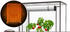 Kesser Premium Tomatengewächshaus 100 x 50 x 150 cm transparent