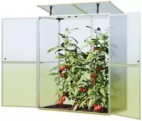 Gfp - Gew&auml;chshaus Tomatenhaus Emma 147 X 76 X 173 Cm, 8 Mm W&auml;rmed&auml;mmende