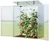 GFP - Garten- & Freizeit-Profi Tomatenhaus Emma 147 x 76 cm 8 mm Doppelstegplatten