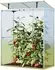 GFP - Garten- & Freizeit-Profi Tomatenhaus Emma 147 x 76 cm 8 mm Doppelstegplatten