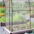 Relaxdays Begehbares Tomatengewächshaus mit Folie 215 x 200 x 100 cm