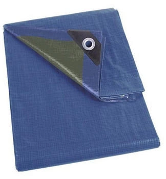 Perel Abdeckplane blau/grün Normall 2 x 8 m (70-0208)