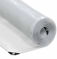 vidaXL Transparente Plane mit &Ouml;sen 5x5 m Polyethylen
