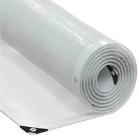 vidaXL Transparente Plane mit &Ouml;sen 2x8 m Polyethylen