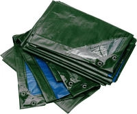 Rainexo - Abdeckplane 150g/qm, 1,5x3m, gr/bl
