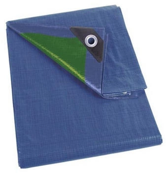 Perel Abdeckplane blau/grün Normal 5 X 8 M (70-0508)