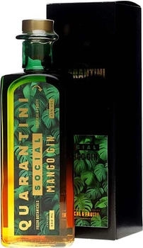 Quarantini Social Mango Gin 0,5l 42%