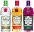 Tanqueray Flavoured Gin Set 3x0,7l 41,3%