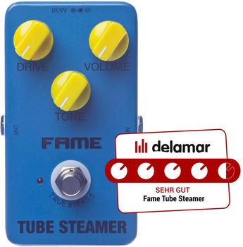 Fame Tube Steamer