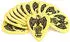 ERNIE BALL 9195 Everlast Picks