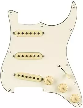 Fender PWPG 65 Strat RWRP WBW