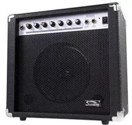 Soundking AK20-GR