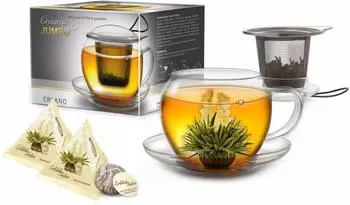Creano Jumbo XXL Teetasse 450ml mit Edelstahlfilter, Deckel & 2 ErblühTeelini (280)