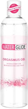 EIS Waterglide Orgasm Gel (300ml)