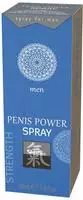 &laquo;Penis Power Spray&raquo; Spray f&uuml;r eine lang anhaltende Erektion (0.03 l) 30 ml