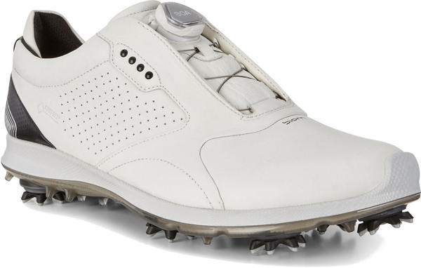 Ecco Biom G 2 Boa GTX (130674) white/black