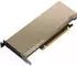 PNY NVIDIA L4