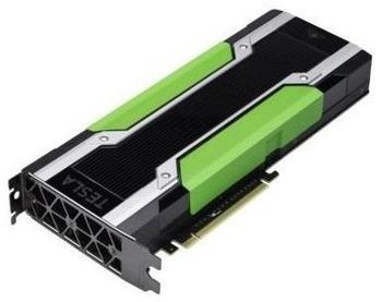 PNY Tesla M60 Module Long