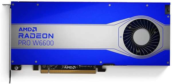 AMD Radeon Pro W6600 8GB GDDR6 Workstation Grafikkarte 4x DP Test - ❤️  Testbericht.de Juli 2022