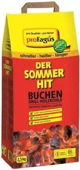 ProFagus Der Sommerhit Holzkohle 2,5 kg