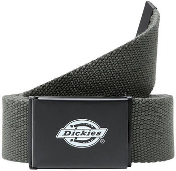 Dickies Orcutt Belt olive green (DK0A4X7E)