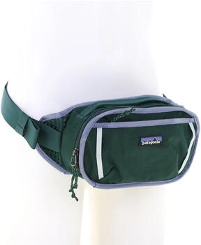 Patagonia Fieldsmith Hip Pack (48580CASGALL) cascadegreen