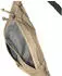 Jack Wolfskin Konya Hipbag (A66075) hazel wood