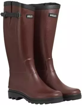Aigle Agentine 2 NL sureau