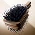 Sisley by The Pocket Brush Radiance & Softness