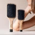 Sisley by The Pocket Brush Radiance & Softness