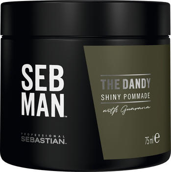 Sebastian Professional The Dandy Pomade (75ml)
