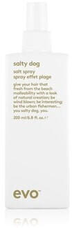 evo Salty dog Salt Spray (200ml)
