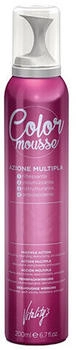 Vitality's Art CM Color Mousse chestnut (200ml)