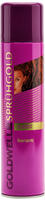 Goldwell 207542, Goldwell Spr&uuml;hgold Classic Haarspray 400 ml