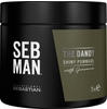 Sebastian Professional SEB MAN The Dandy Pomade für natürliche Fixation 75 ml,