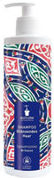 Bioturm Glanz Shampoo 500 ml