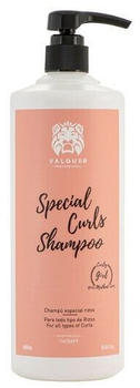 V&aacute;lquer Special Curls Shampoo (1000 ml)