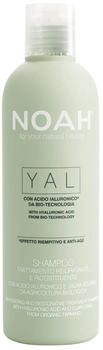 Noah Rehydrating and Restoring Treatment Shampoo 250 ml