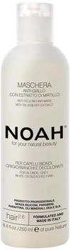 Noah Anti-Yellow Mask with Blueberry Extract 250 ml