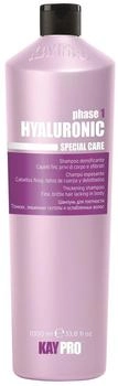 Kay Pro Hyaluronic Shampoo for Fine Hair (1,000 ml)