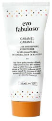 evo fabuloso Colour Intensifying Conditioner Caramel (220 ml)
