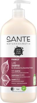 Sante Glanz Shampoo Bio-Birkenblatt (950 ml)