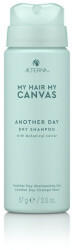 Alterna My Hair. My Canvas. Another Day Dry Shampoo (57 g)