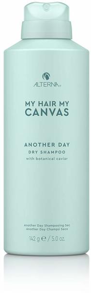 Alterna My Hair. My Canvas. Another Day Dry Shampoo Test | schon ab 19,05€  bei Testbericht.de gefunden