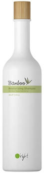 O'right Bamboo Moisturizing Shampoo (400 ml)