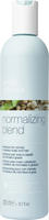 Milke Shake Milk Shake Normalizing Blend Shampoo 300 ml, Grundpreis: &euro;...