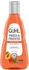 Guhl Frisch & Fruchtig Mildes Shampoo (250 ml)