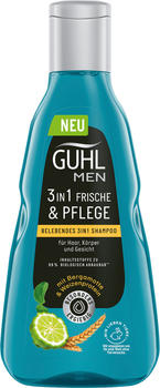 Guhl MEN Frische & Pflege Belebendes 3in1 Shampoo (250 ml)